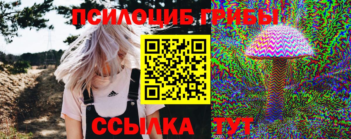 Псилоцибиновые грибы прущие грибы Зеленокумск