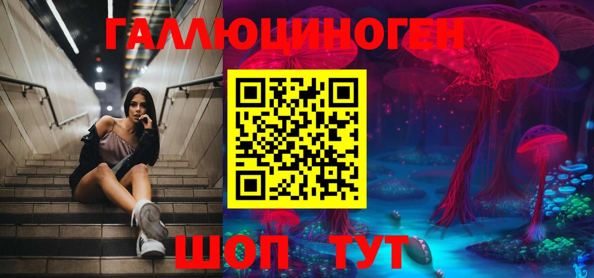 Галлюциногенные грибы Magic Shrooms  Вход с VPN  Галлюциногенные грибы Magic Shrooms  Зеленокумск 
